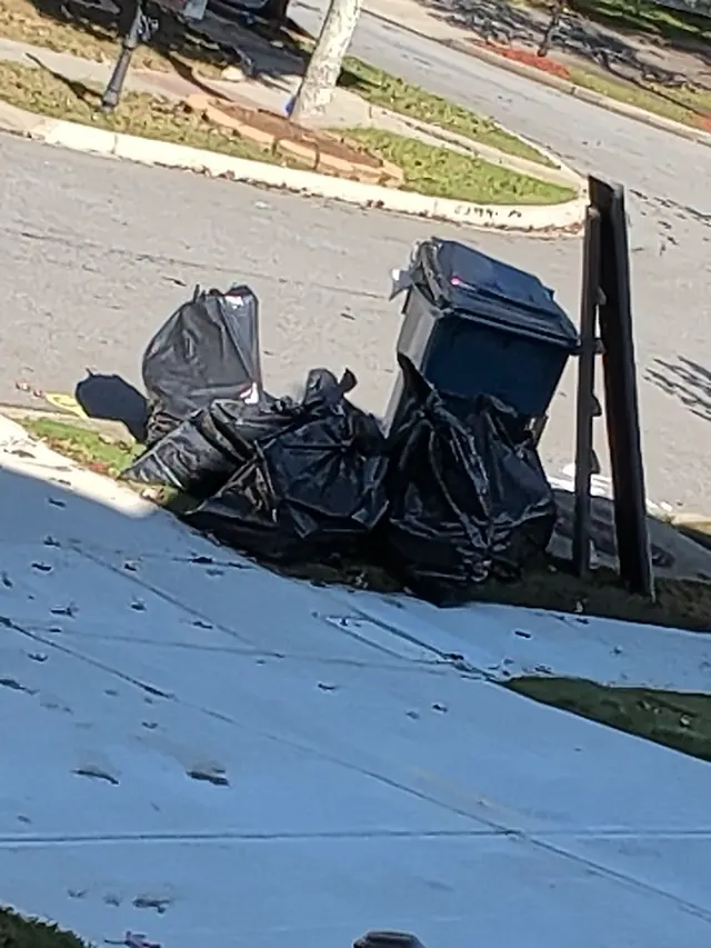 Customer photo of work by Magic junk Removal and Hauling, from Autumn Williams's review