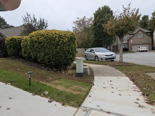 Magic junk Removal and Hauling — customer photo 9