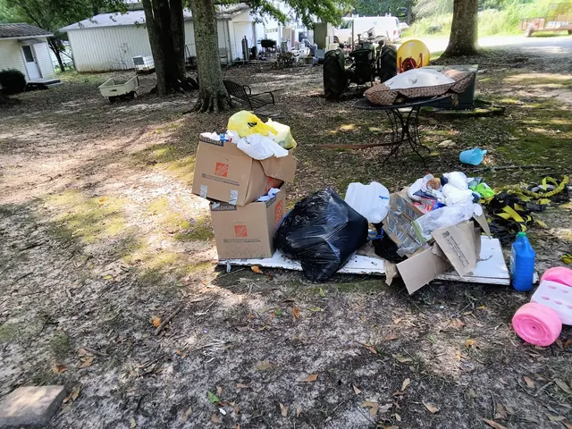 Magic junk Removal and Hauling — customer photo 12