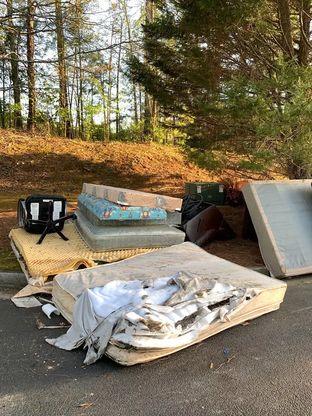 Everything Must Go Junk Removal — photo from the business 8