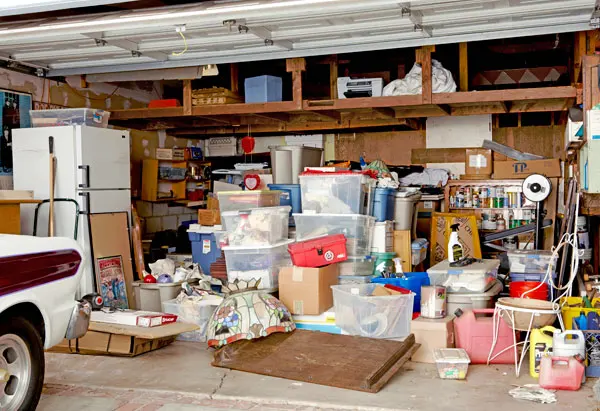 The Junk Tycoons — photo from the business 11