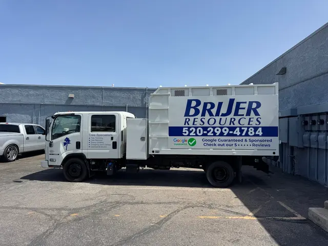 Tree Services Tucson AZ by Brijer Resources — photo from the business 8