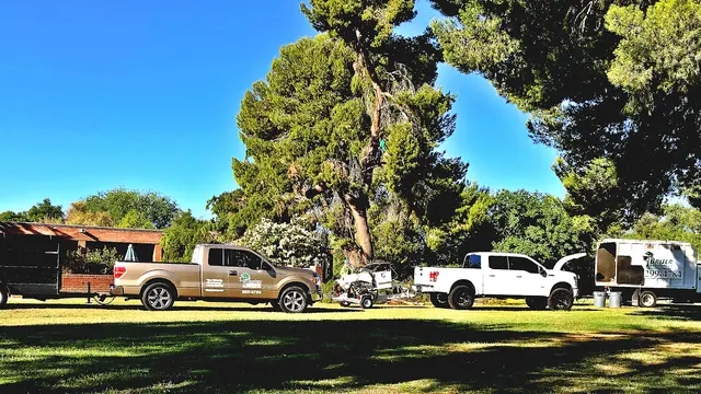 Tree Services Tucson AZ by Brijer Resources — photo from the business 11