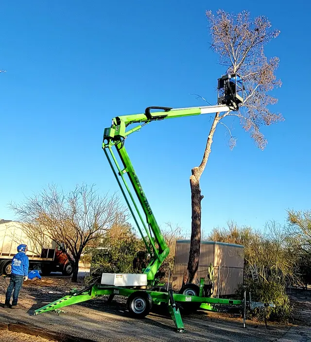 Tree Services Tucson AZ by Brijer Resources — customer photo 5