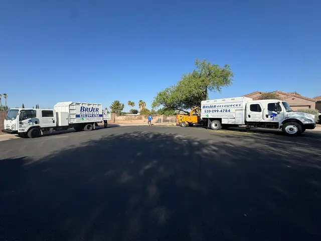 Tree Services Tucson AZ by Brijer Resources — photo from the business 7