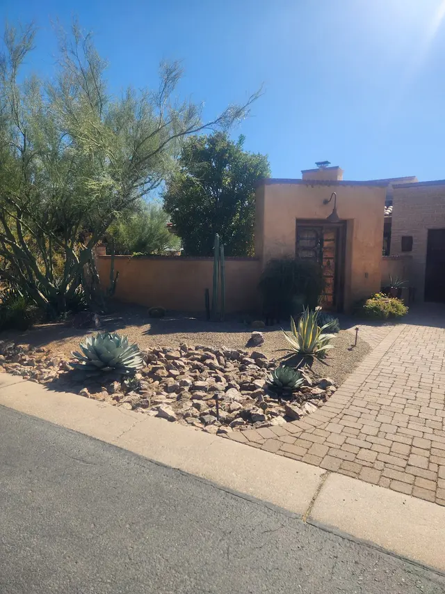 Tree Services Tucson AZ by Brijer Resources — customer photo 12