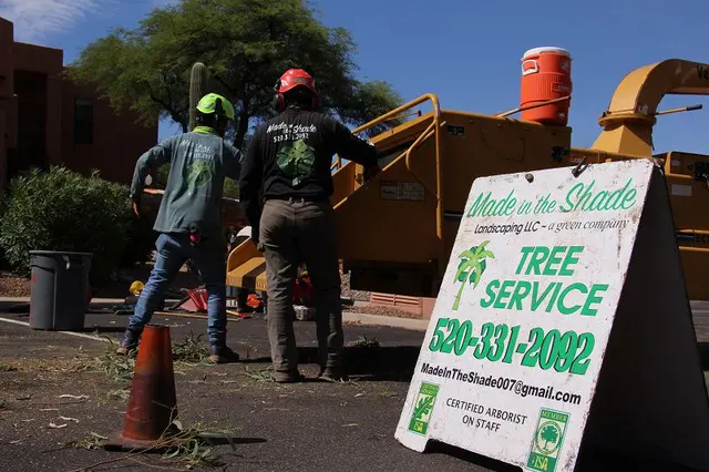 Made in the Shade - Certified Arborist - Expert Tree Service — photo from the business 3