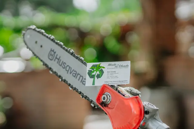 Made in the Shade - Certified Arborist - Expert Tree Service — photo from the business 2