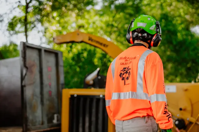 Made in the Shade - Certified Arborist - Expert Tree Service — photo from the business 9