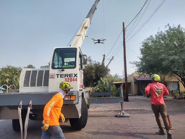Made in the Shade - Certified Arborist - Expert Tree Service — photo from the business 5