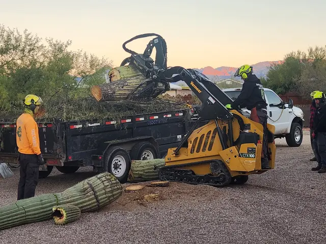 Made in the Shade - Certified Arborist - Expert Tree Service — customer photo 12