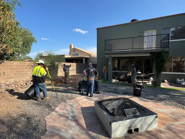 Tree Monkey Tree Trimming AZ — customer photo 7