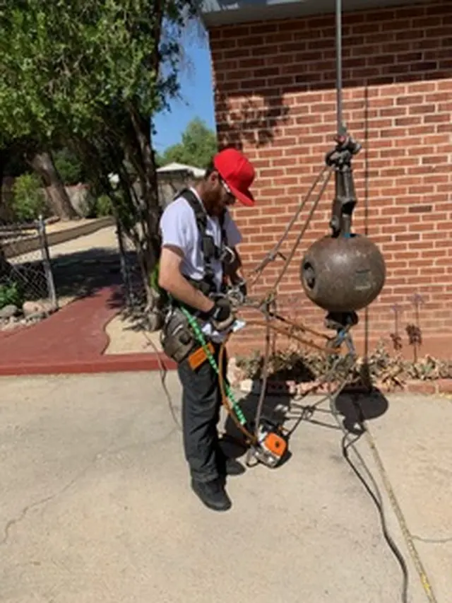 Tree Monkey Tree Trimming AZ — photo from the business 10
