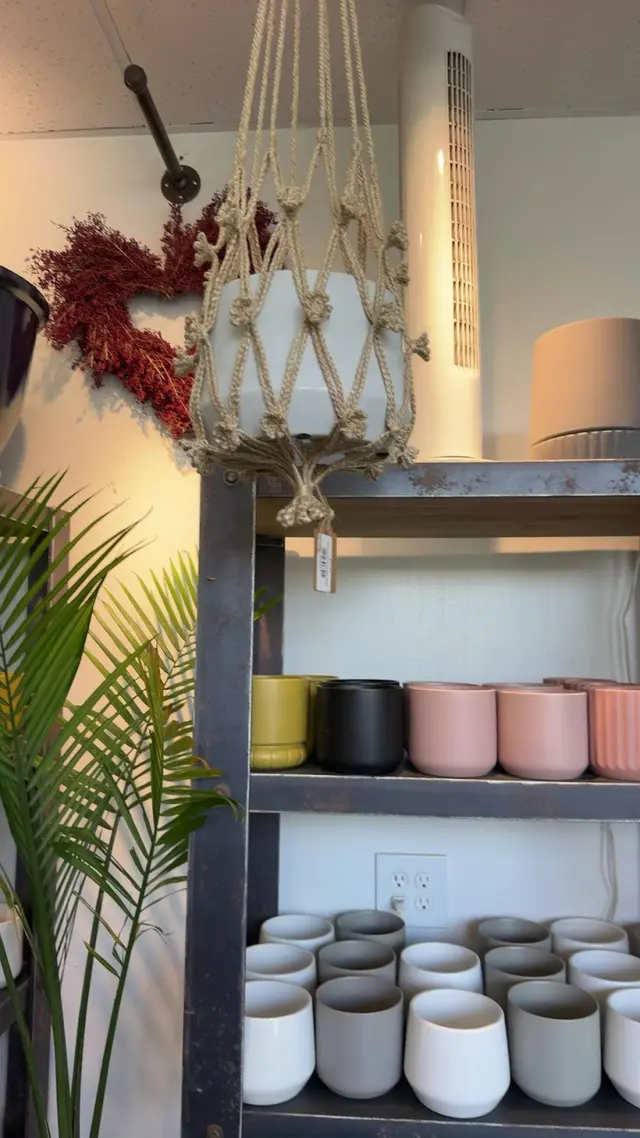 Customer photo of work by SF Plants, from nomuna nomu's review