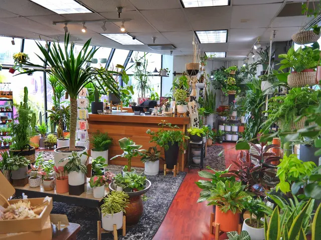 SF Plants — customer photo 2