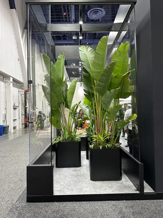 SF Plants — customer photo 8