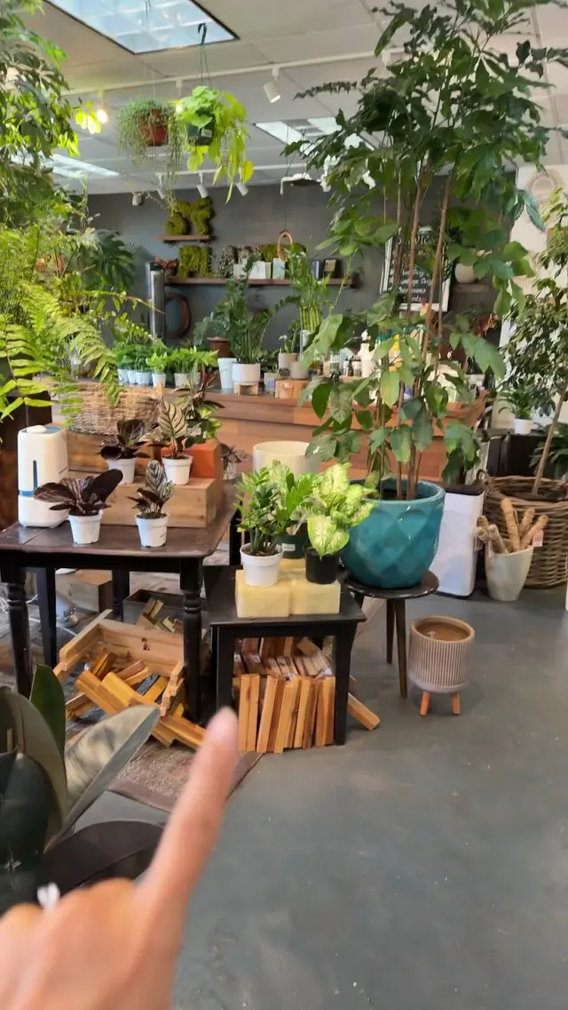 Customer photo of work by SF Plants, from nomuna nomu's review