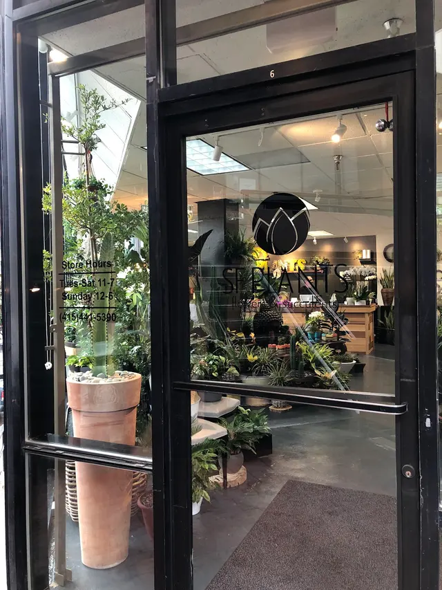 SF Plants — customer photo 1