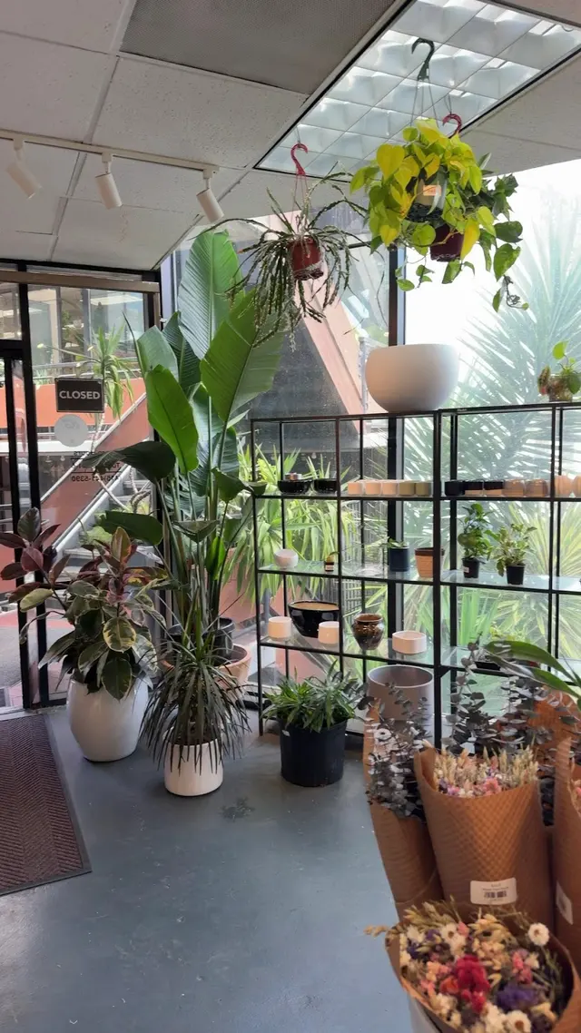 Customer photo of work by SF Plants, from nomuna nomu's review