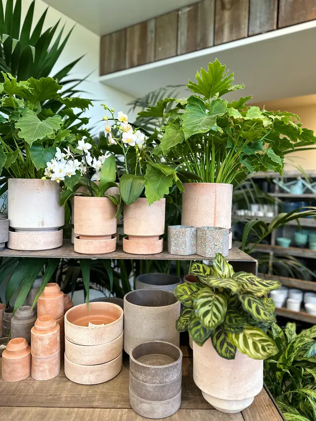 Flora Grubb Gardens Plant Nursery — photo from the business 9