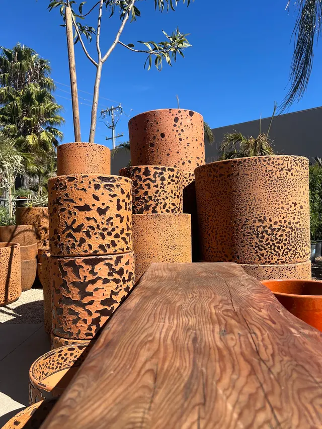 Flora Grubb Gardens Plant Nursery — photo from the business 3