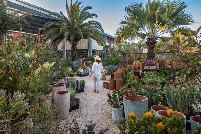 Flora Grubb Gardens Plant Nursery — photo from the business 2