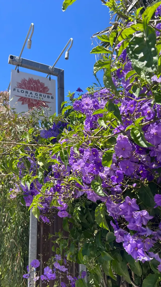 Flora Grubb Gardens Plant Nursery — photo from the business 11