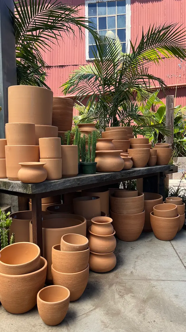 Flora Grubb Gardens Plant Nursery — photo from the business 7
