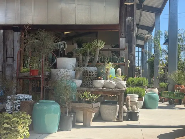 Flora Grubb Gardens Plant Nursery — photo from the business 1