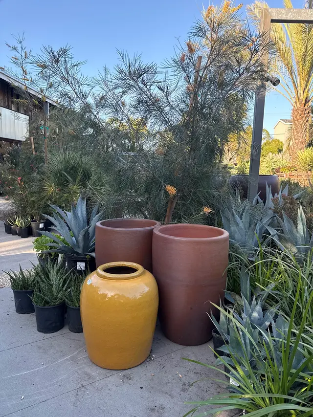 Flora Grubb Gardens Plant Nursery — photo from the business 12