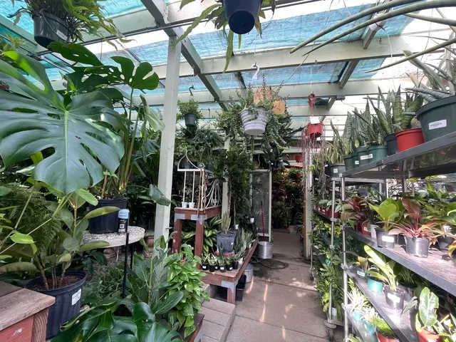 Clement Nursery — customer photo 1