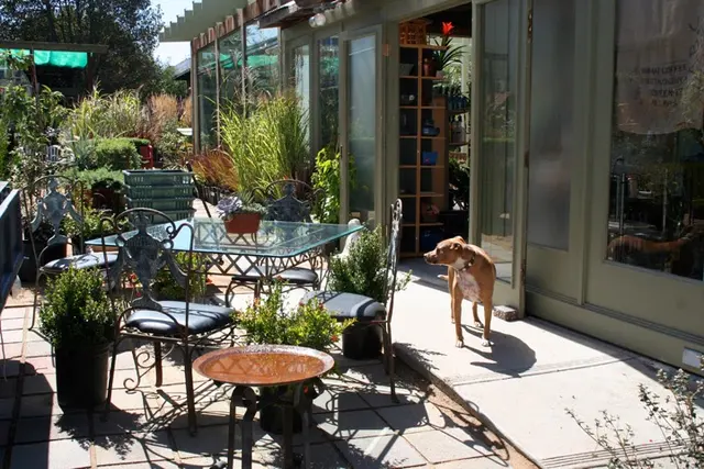 Clement Nursery — photo from the business 2