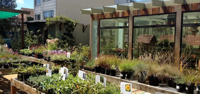 Clement Nursery — photo from the business 4