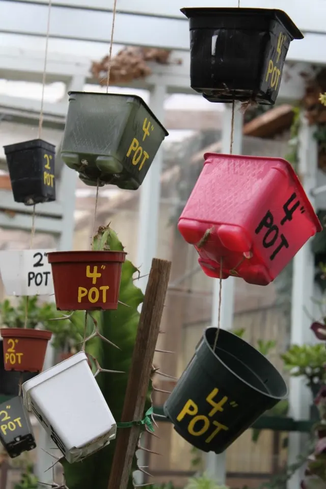 Clement Nursery — photo from the business 3