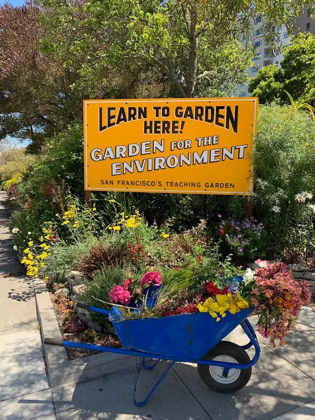 Garden for the Environment — photo from the business 3