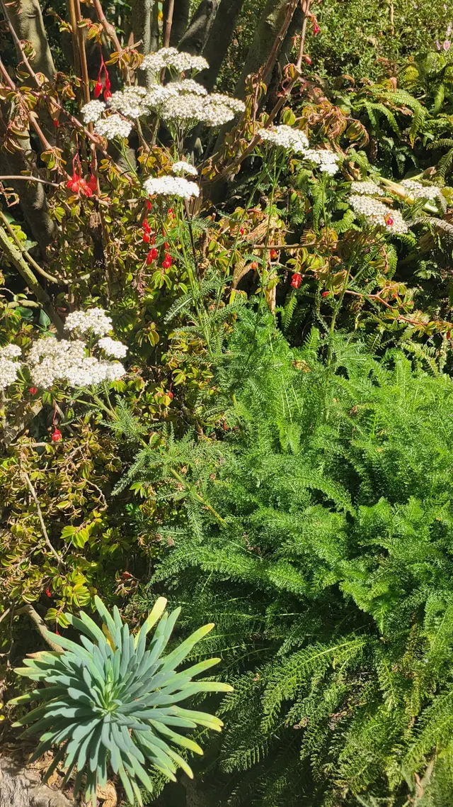 Customer photo of work by Garden for the Environment, from Paul Peraino's review