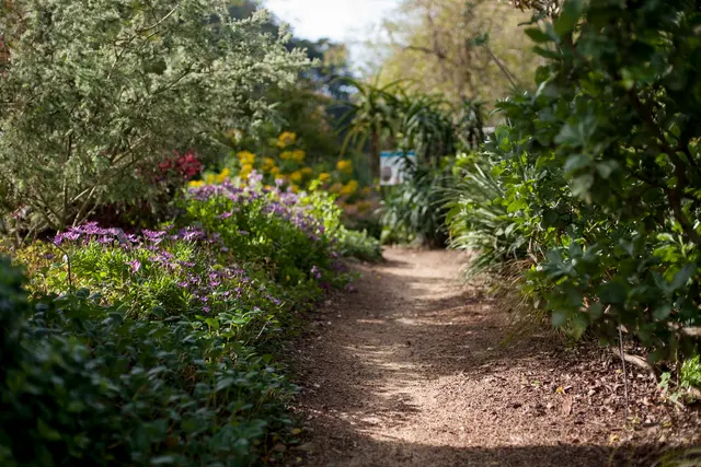Garden for the Environment — photo from the business 11