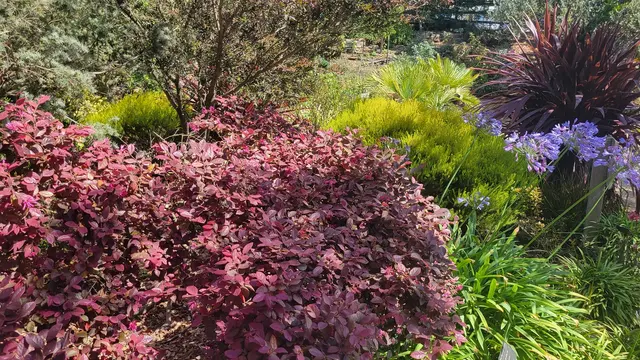 Customer photo of work by Garden for the Environment, from Paul Peraino's review