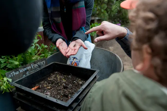 Garden for the Environment — photo from the business 5