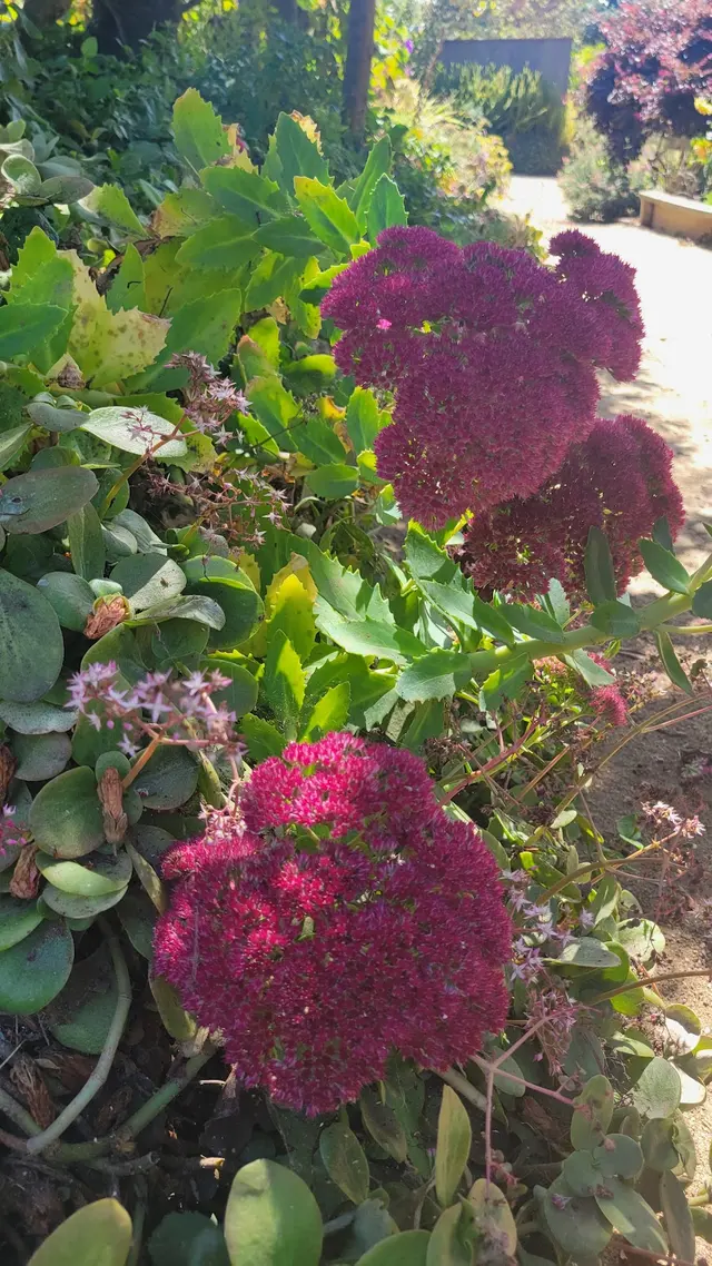 Customer photo of work by Garden for the Environment, from Paul Peraino's review