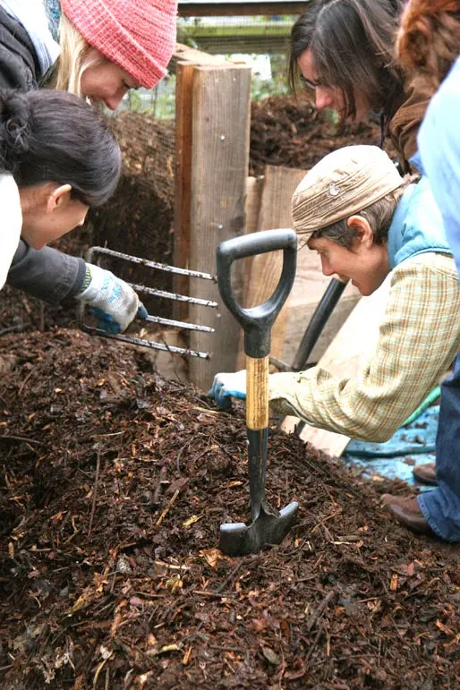 Garden for the Environment — photo from the business 10