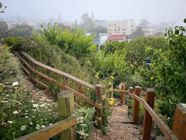 Customer photo of work by Garden for the Environment, from Matt B's review