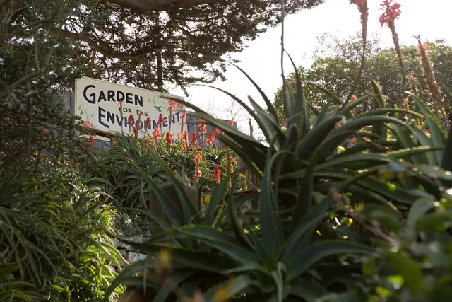 Garden for the Environment — photo from the business 6