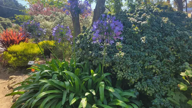 Customer photo of work by Garden for the Environment, from Paul Peraino's review