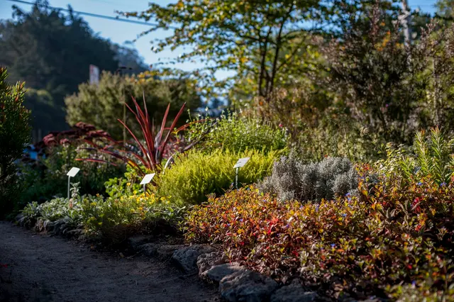 Garden for the Environment — photo from the business 7