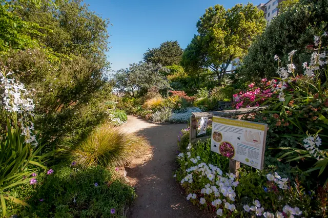 Garden for the Environment — photo from the business 1