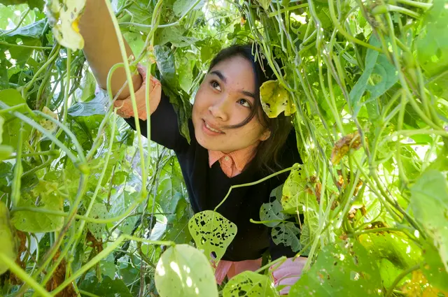 Garden for the Environment — photo from the business 9