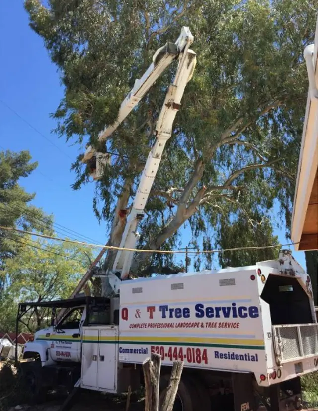 Q&T Tree Services — photo from the business 1