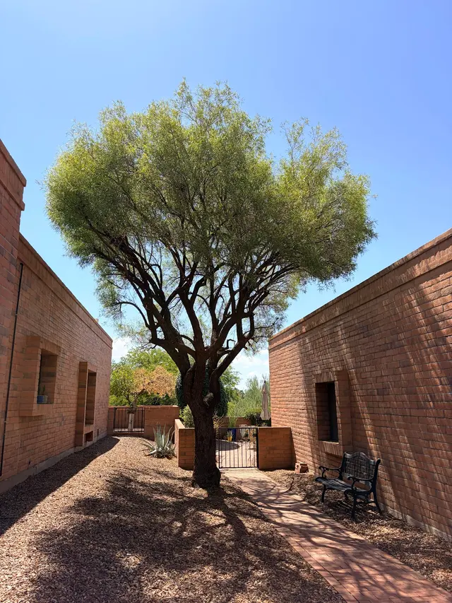 Q&T Tree Services — customer photo 4