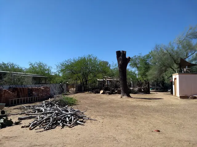 Q&T Tree Services — customer photo 12